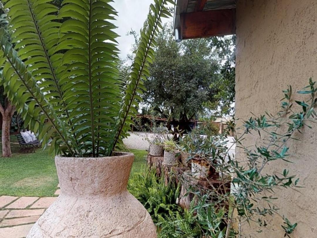Cradle Valley Boutique Guesthouse Muldersdrift Dış mekan fotoğraf