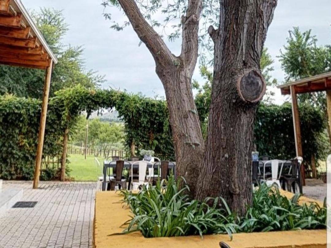 Cradle Valley Boutique Guesthouse Muldersdrift Dış mekan fotoğraf