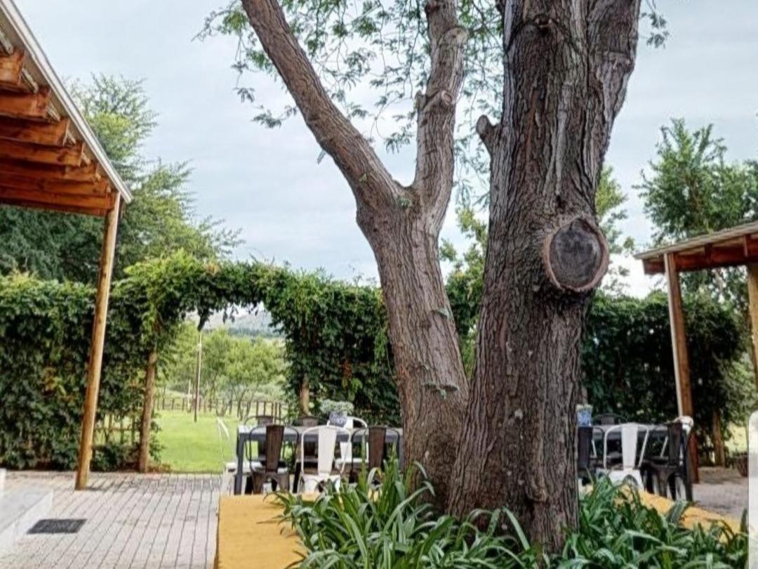 Cradle Valley Boutique Guesthouse Muldersdrift Dış mekan fotoğraf