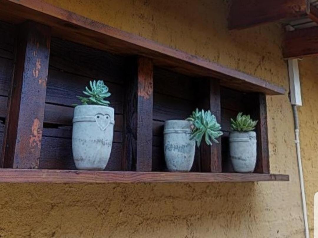 Cradle Valley Boutique Guesthouse Muldersdrift Dış mekan fotoğraf